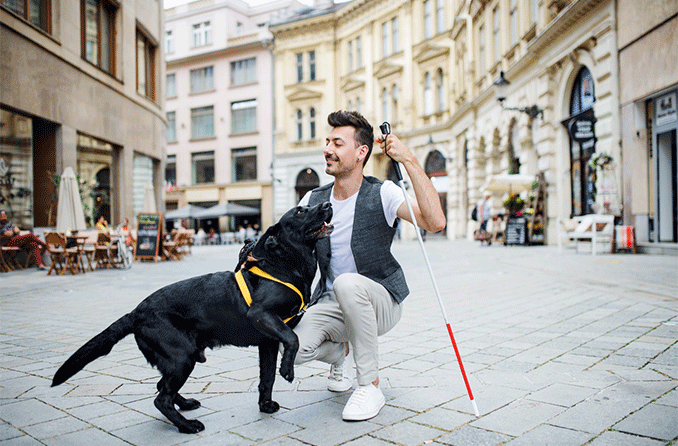 canine-assistance-low-vision-678x446