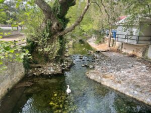 Μακρυκάπα Ευβοίας: ένα γραφικό χωριό που αξίζει να επισκεφτείς