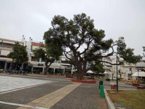 Μια βόλτα στα Μελίσσια