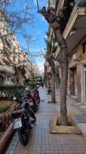 Η Κυψέλη με τα πόδια: Ένα οδιπορικό στο σπίτι μου